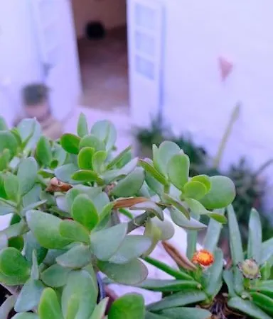 Feriehus Casa Palma Gozo Għarb