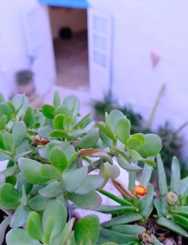 Nyaraló Casa Palma Gozo Għarb