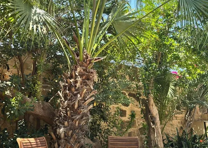 Holiday home Casa Palma Gozo Gharb (Gozo)